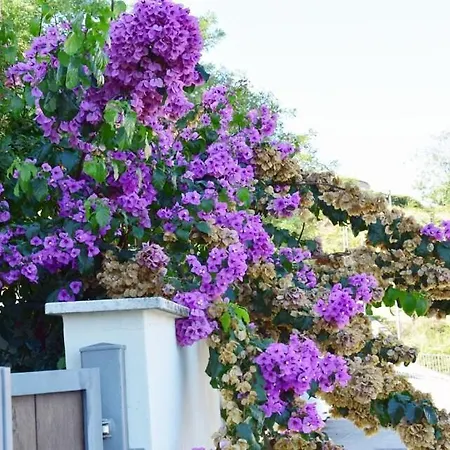 Holiday home Casa Dell'olivo *