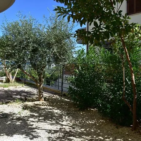 Casa Dell'olivo *